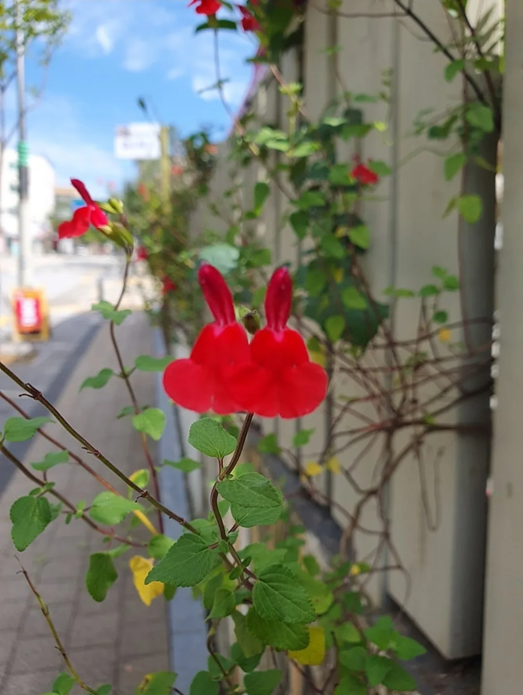 Cảm ơn bạn Misohangadeuk rất nhiều vì bài đánh giá nhé!