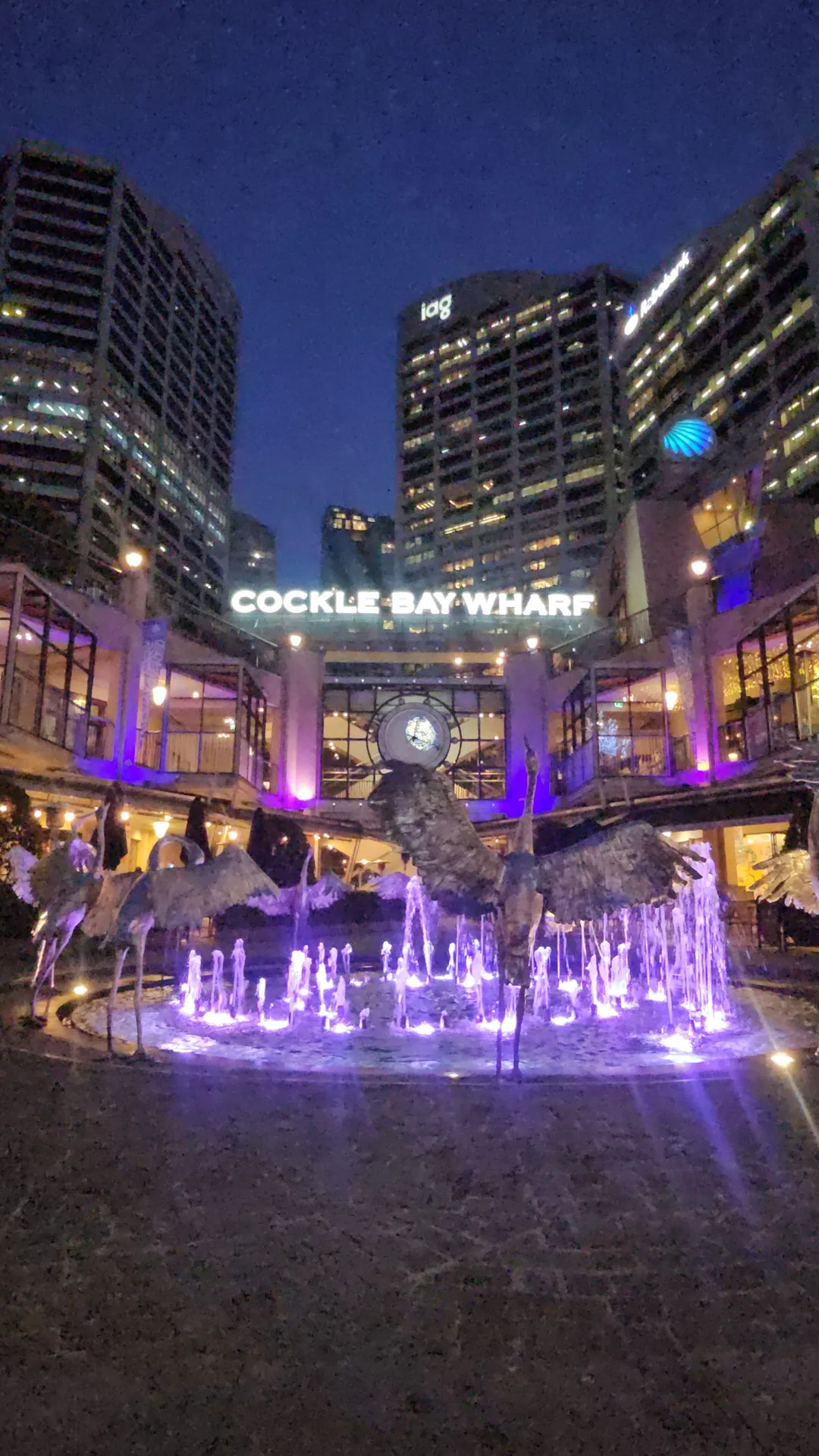 🇭🇲 Cảnh đêm Sydney mà tôi nhớ
