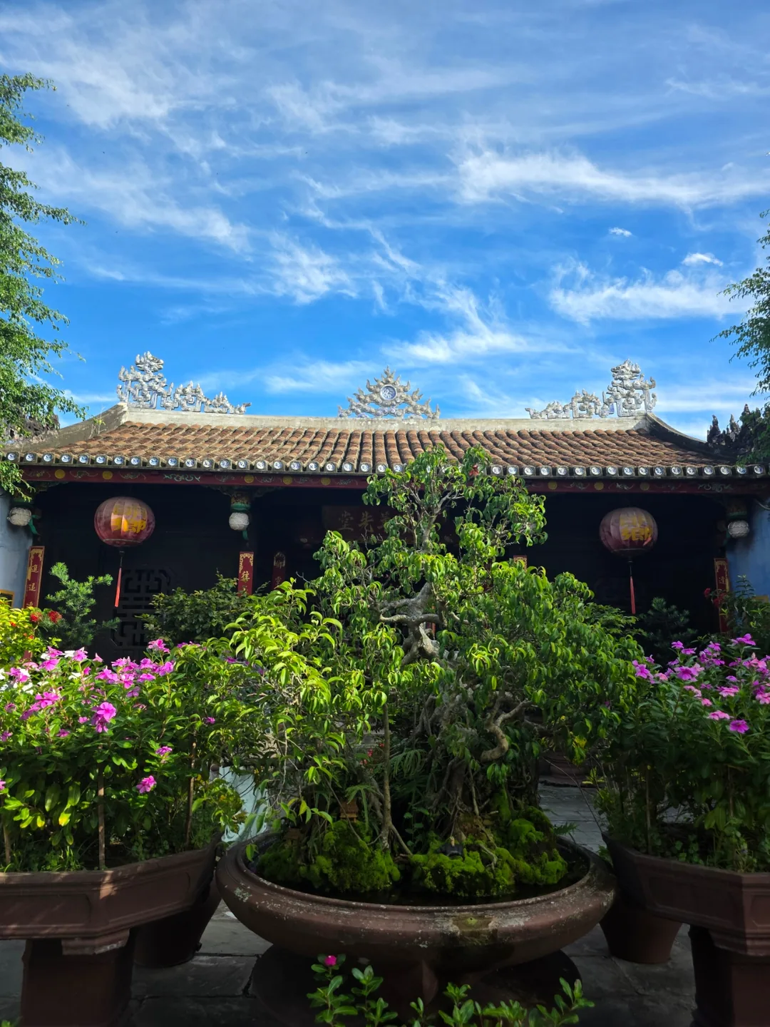 🇻🇳 Chuyến du lịch một mình lần thứ 2, ngày thứ 4: Phấn khích quá~ Vui ơi là vui~!!