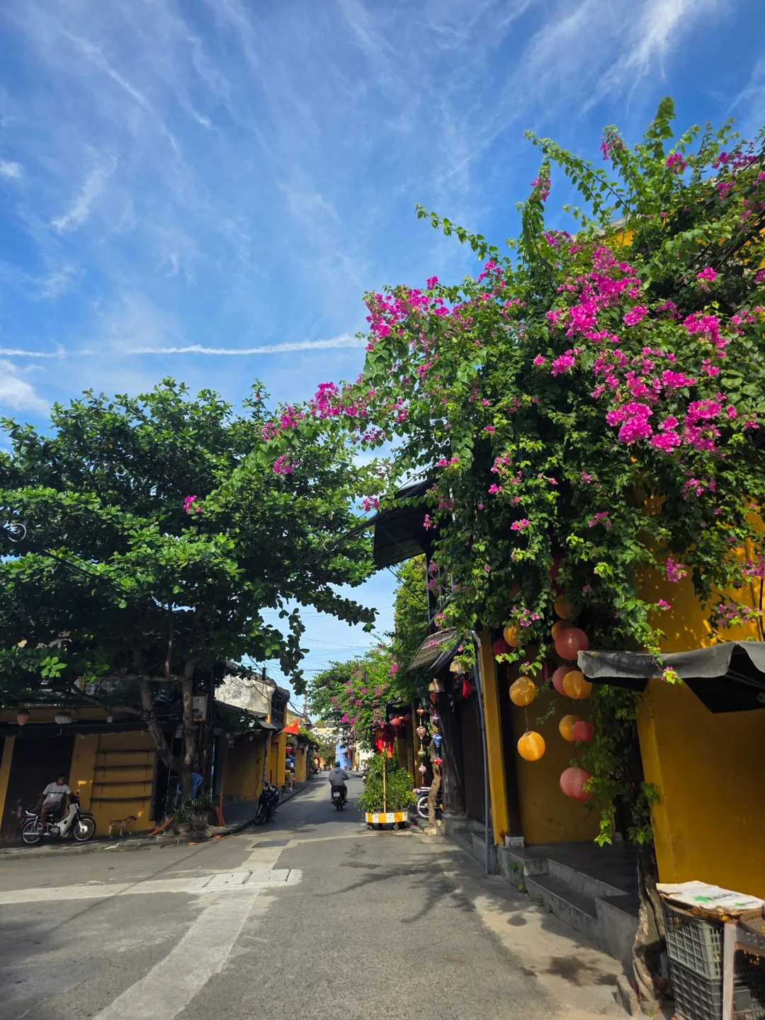 🇻🇳 Chuyến du lịch một mình lần thứ 2, ngày thứ 4: Phấn khích quá~ Vui ơi là vui~!!