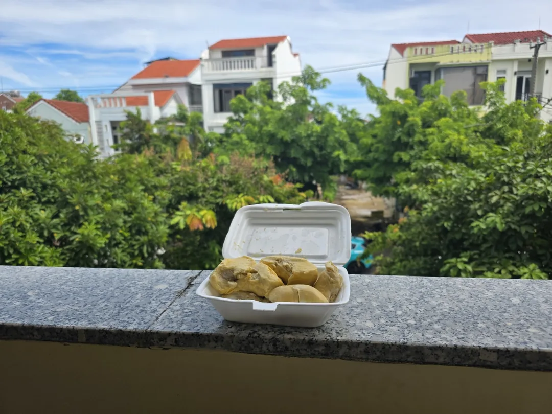 🇻🇳 Chuyến du lịch một mình lần thứ 2, ngày thứ 4: Phấn khích quá~ Vui ơi là vui~!!