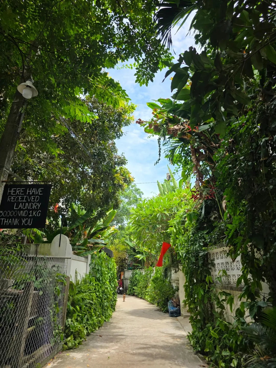 🇻🇳 Chuyến du lịch một mình lần 2, ngày thứ 4: Lại nữa! Ăn à? Cứ ăn tiếp thôi~! Vì là ngày cuối cùng mà..😭