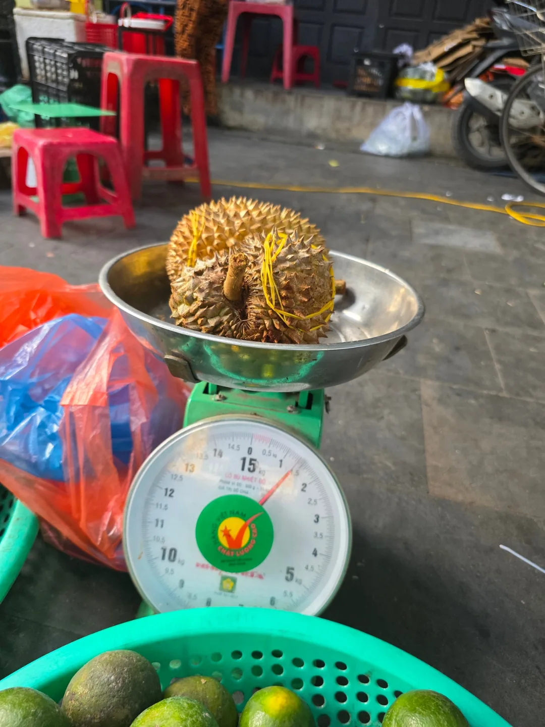 🇻🇳 Sầu riêng mini~ Chỗ đó là ở đâu vậy?