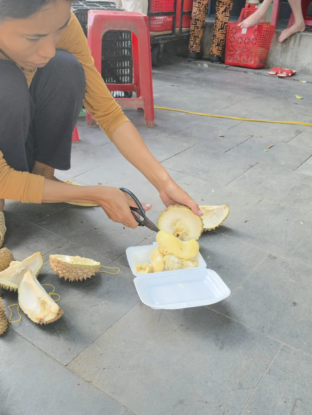 🇻🇳 Sầu riêng mini~ Chỗ đó là ở đâu vậy?