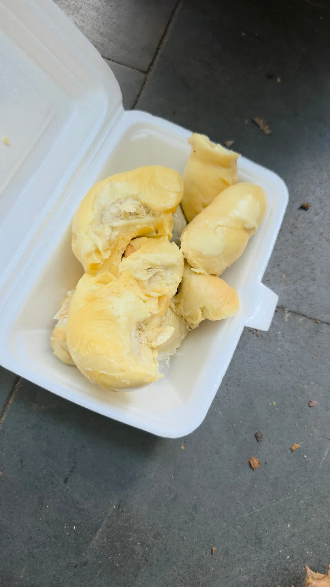 🇻🇳 Sầu riêng mini~ Chỗ đó là ở đâu vậy?