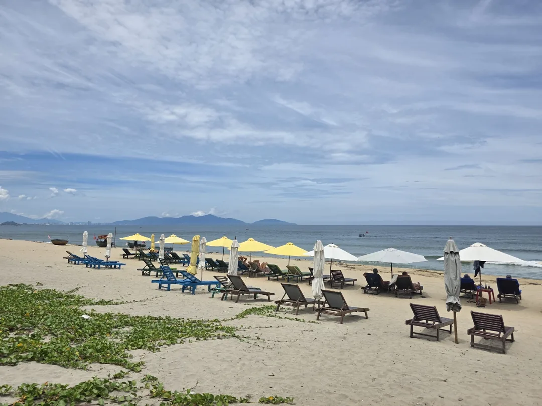 🇻🇳 Khoảnh khắc đẹp như một bức tranh