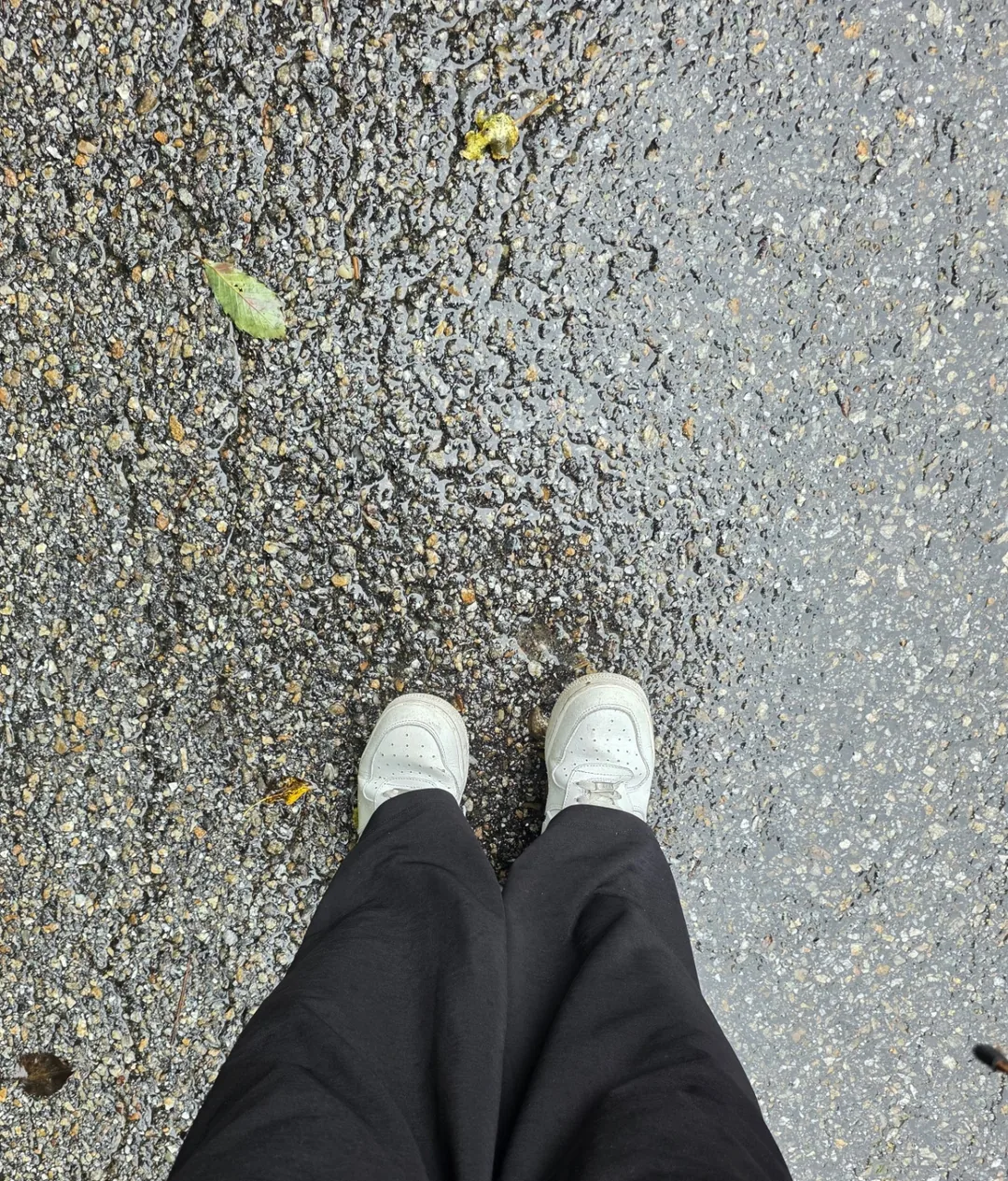 Đừng ăn chỉ vì chúng đẹp nhé~ Hãy nhường lại cho thiên nhiên🍄