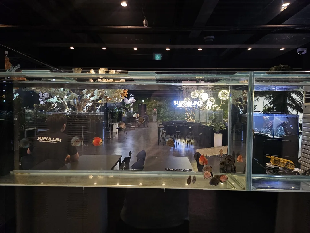 🇰🇷 Suplim Aqua Cafe & Pub