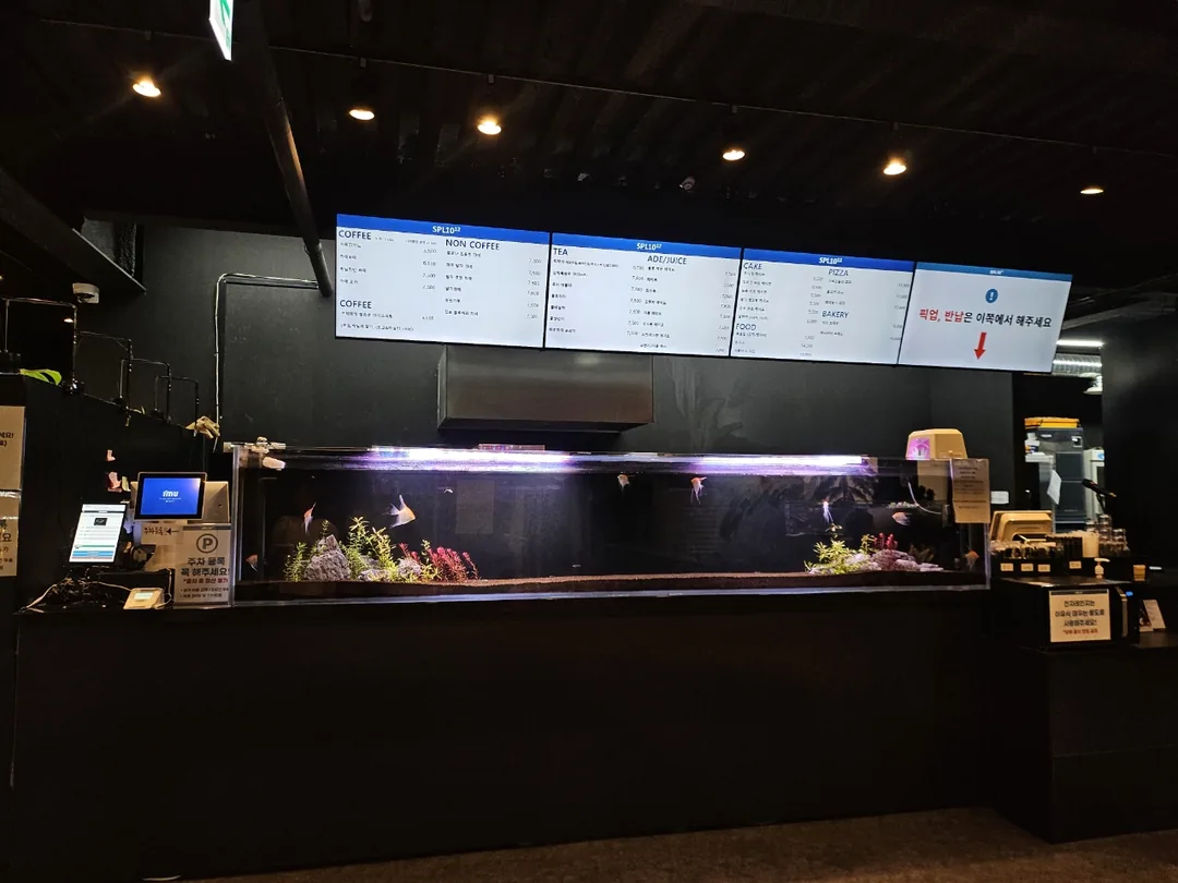 🇰🇷 Suplim Aqua Cafe & Pub