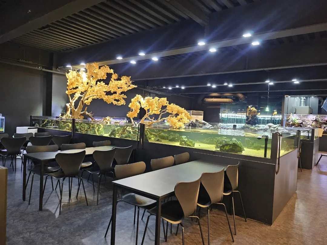 🇰🇷 Suplim Aqua Cafe & Pub