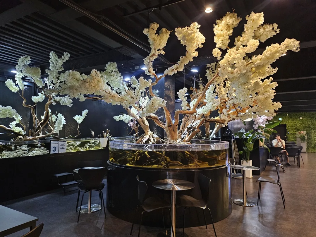 🇰🇷 Suplim Aqua Cafe & Pub