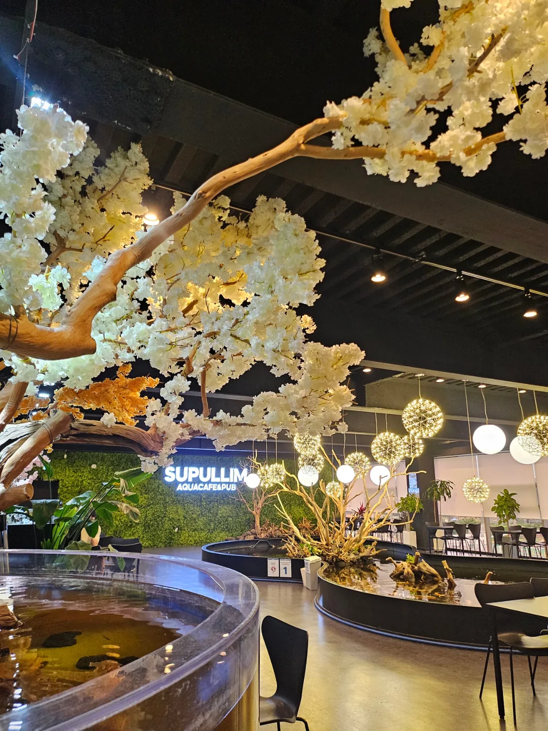 🇰🇷 Suplim Aqua Cafe & Pub