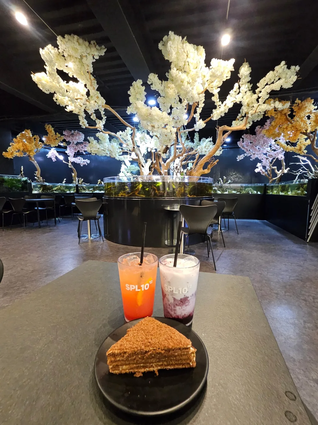 🇰🇷 Suplim Aqua Cafe & Pub