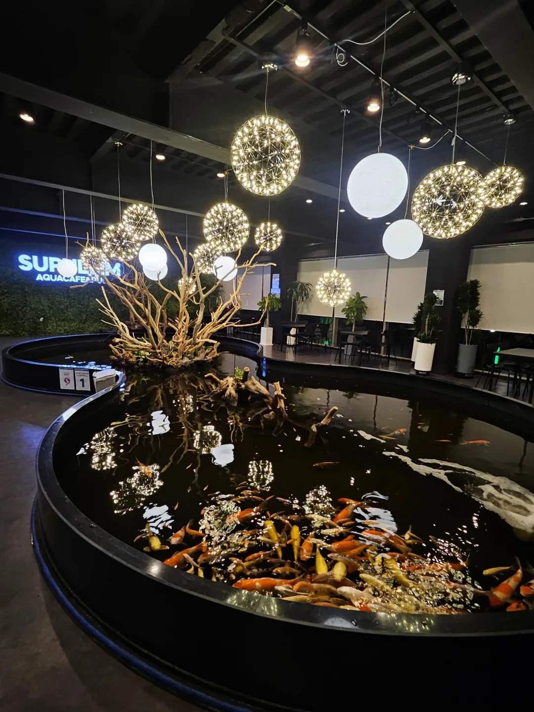🇰🇷 Suplim Aqua Cafe & Pub
