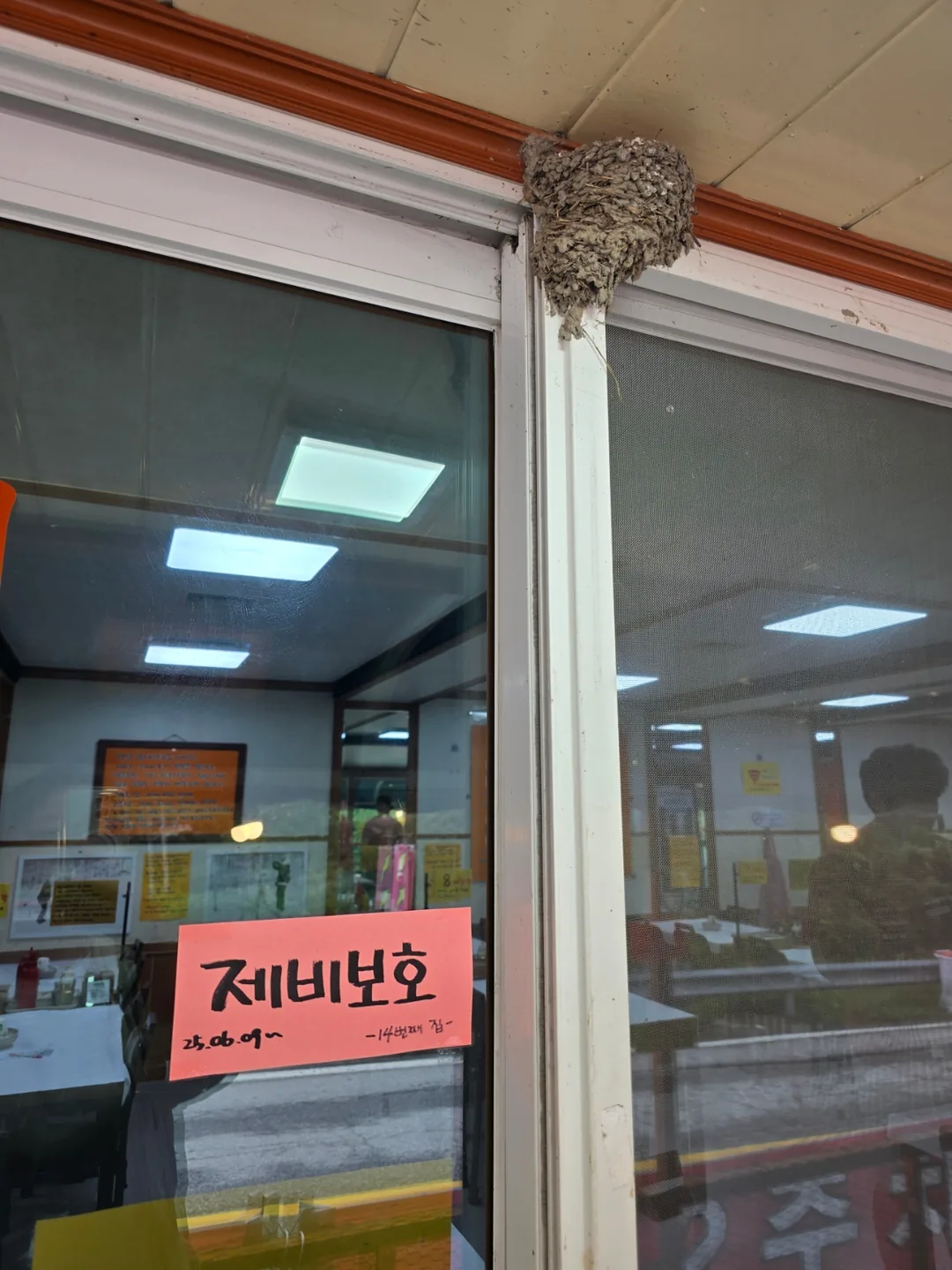 🇰🇷[Rất khuyên dùng] Mì lạnh Wondae Makguksu truyền thống 40 năm