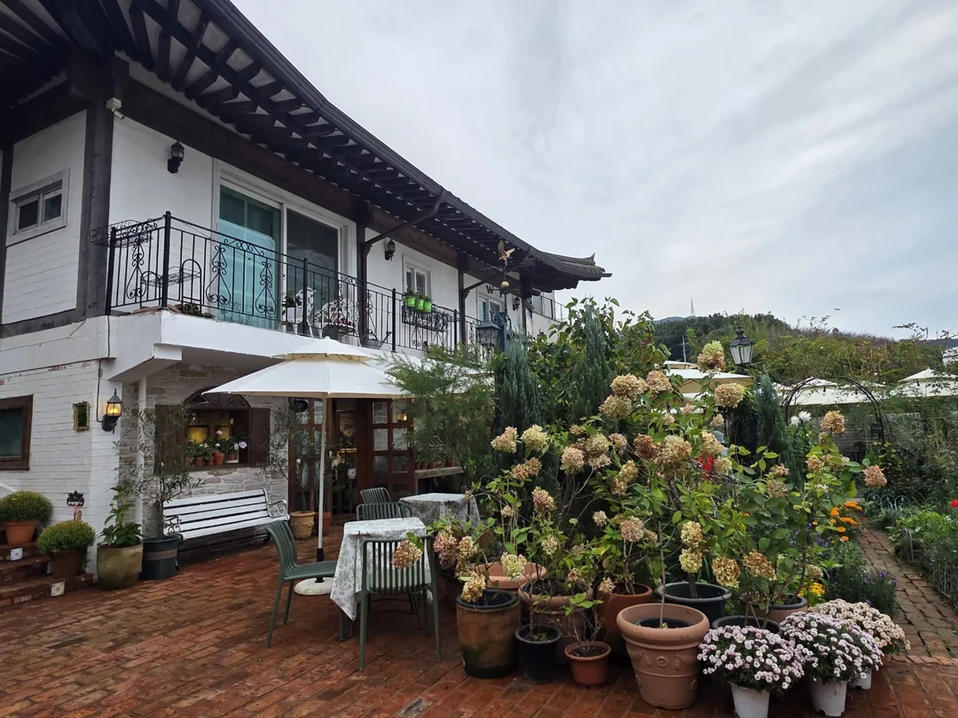 🇰🇷Quán cà phê xinh xắn và đáng yêu~ Vườn Rose Stella