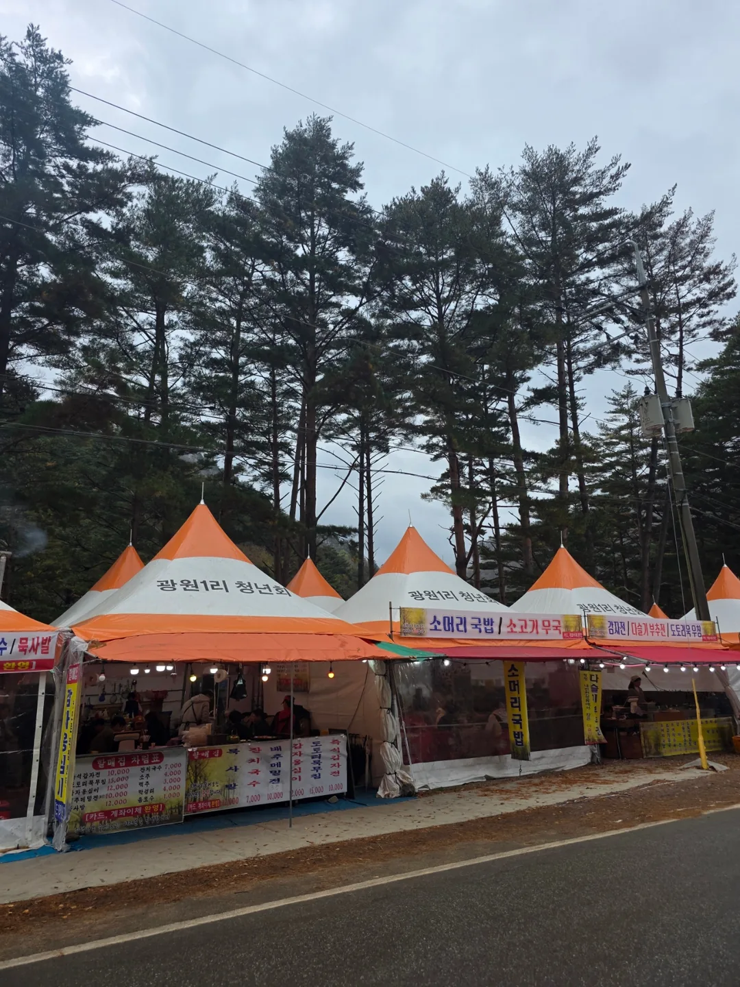 🇰🇷 Rừng cây bạch quả Hongcheon