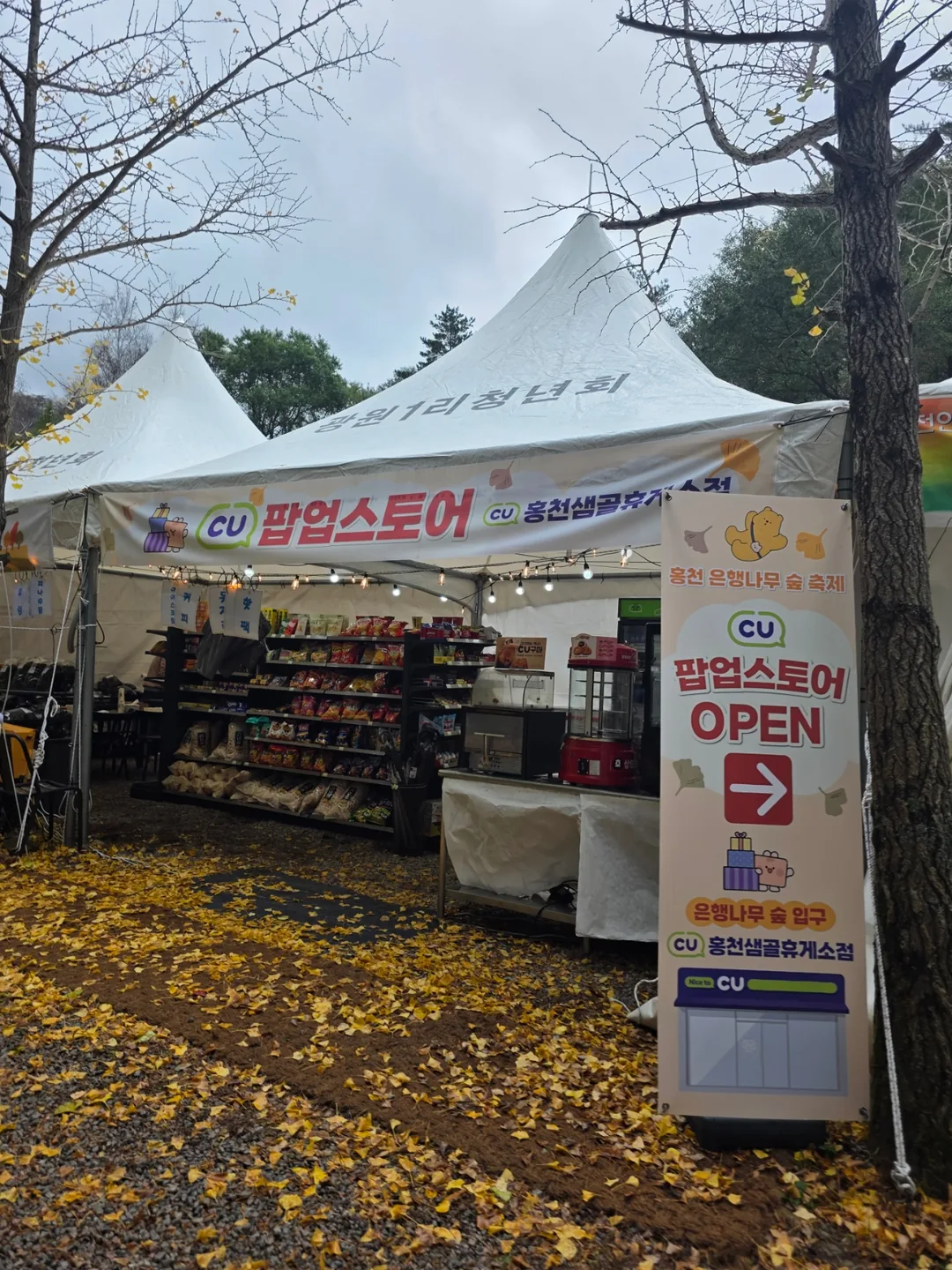 🇰🇷 Rừng cây bạch quả Hongcheon
