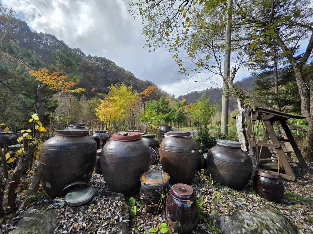 🇰🇷 Núi Odaesan, quê hương của tôi