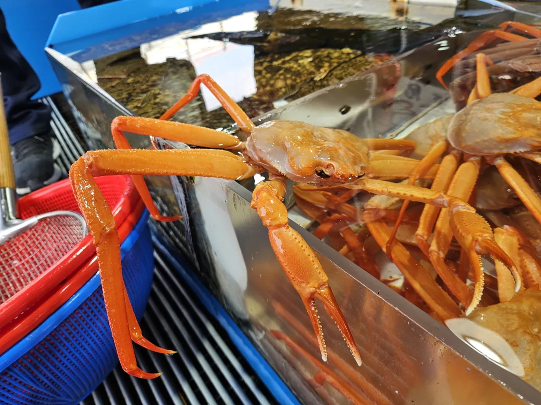 🇰🇷 Hãy để tôi sống sót trước đã 🦀 🦀 🦀