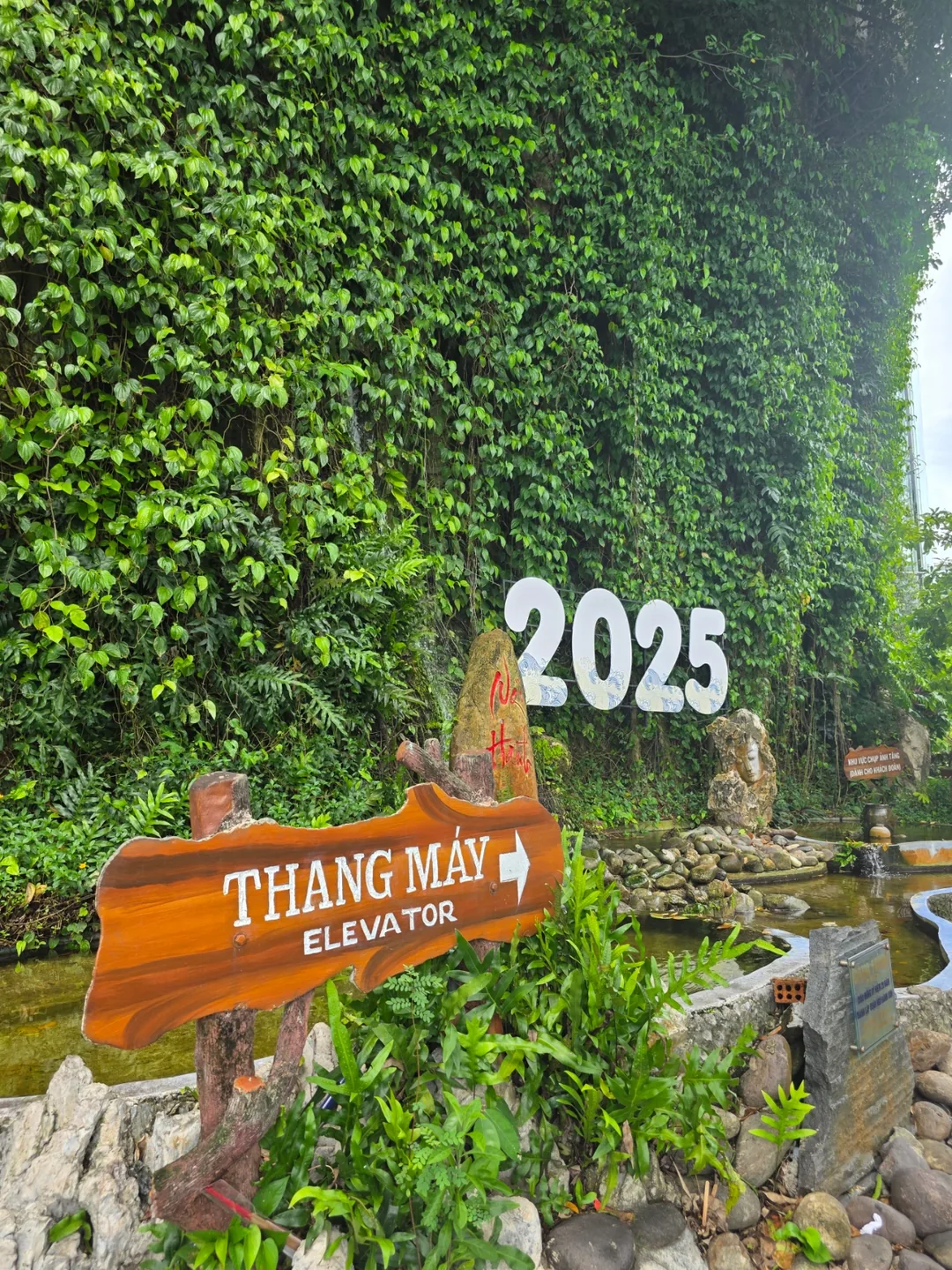 🇻🇳Tận hưởng núi Ohaengsan yên tĩnh trong chuyến đi một mình
