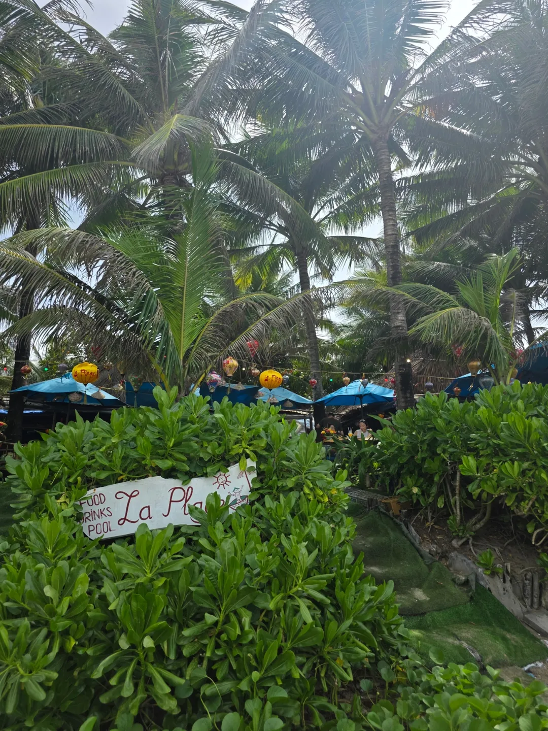 🇻🇳 La Plage~ Mình tìm đến vì hương vị này