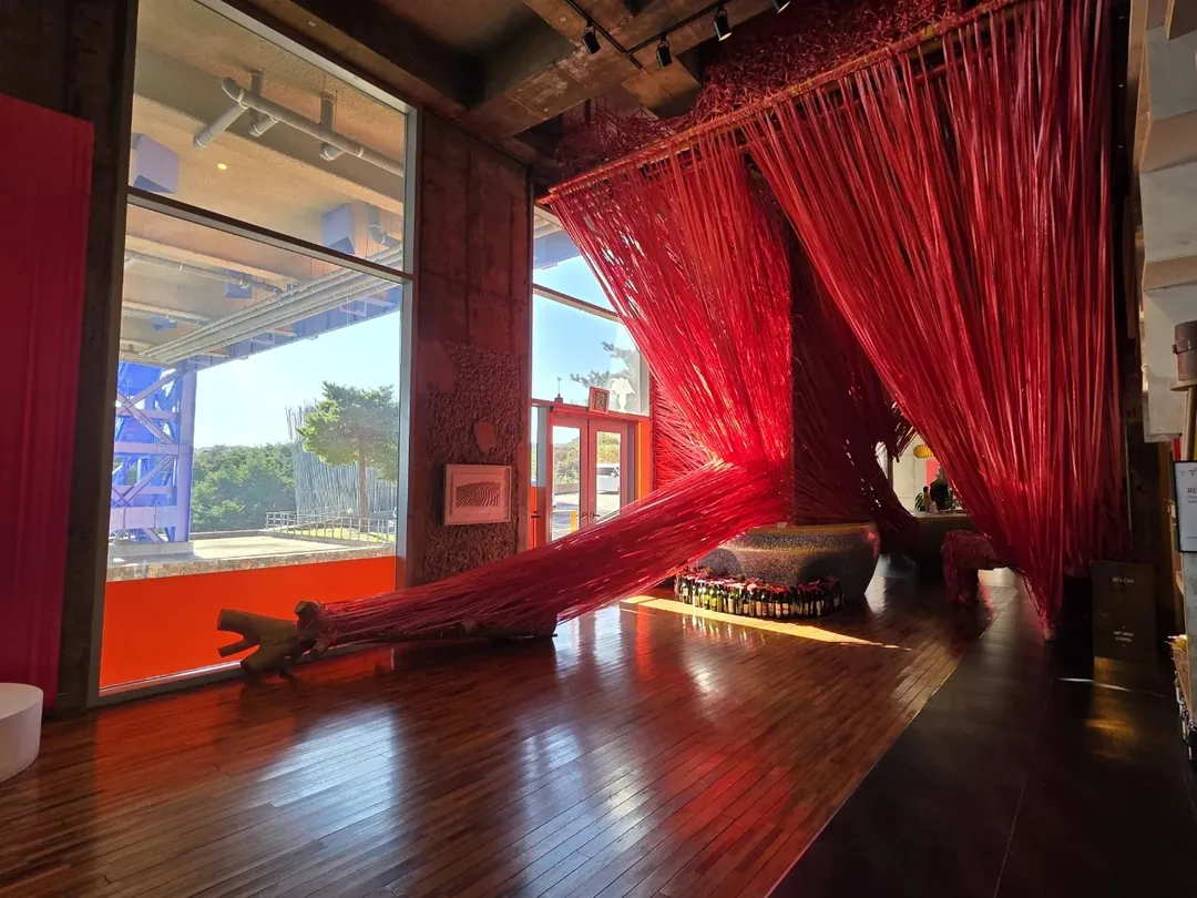 🇰🇷 Địa điểm chụp ảnh tuyệt đẹp ở Gangneung! Haslla Art World~