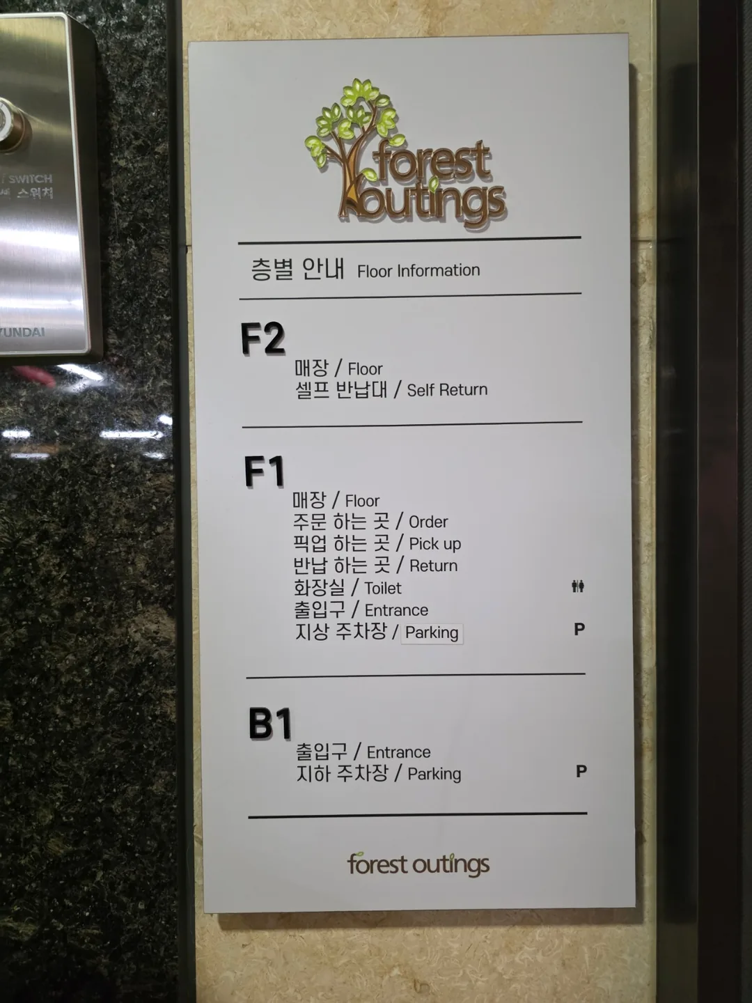 🇰🇷 Đậm chất không khí Giáng sinh~ Forest Outings