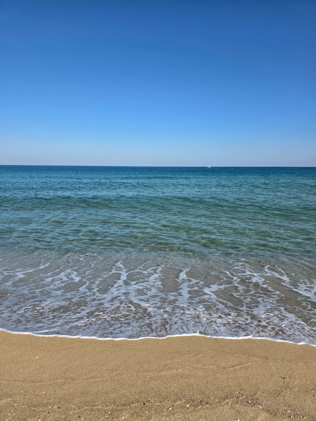 🇰🇷Biển mùa đông~Tôi bao trọn rồi~🌊