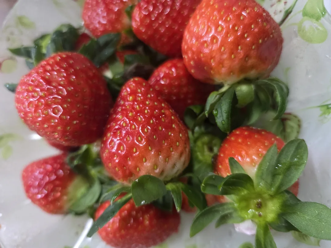 🎄Dâu tây🍓Dâu tây🍓Dâu tây🍓