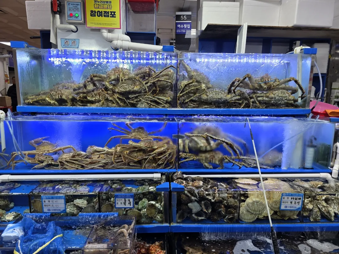 🇰🇷Chợ hải sản Noryangjin là một biển cả sống động đang thở🚢