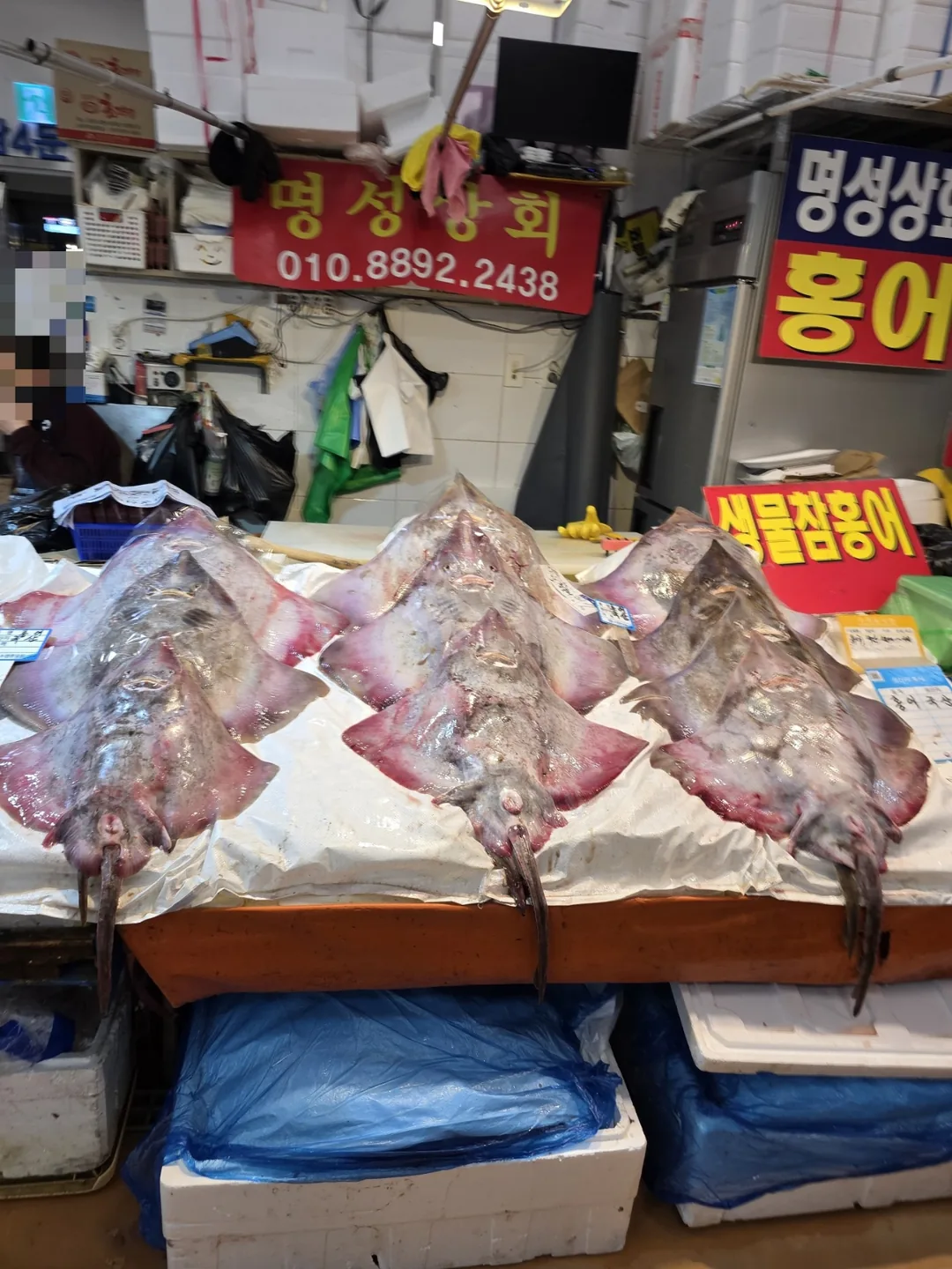 🇰🇷Chợ hải sản Noryangjin là một biển cả sống động đang thở🚢