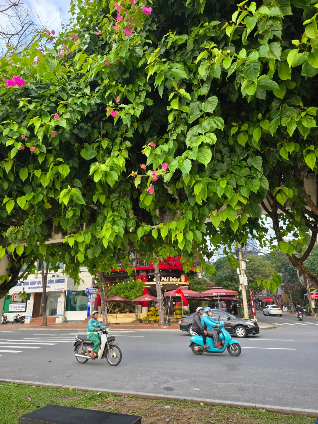 🧳 Good morning Đà Nẵng~