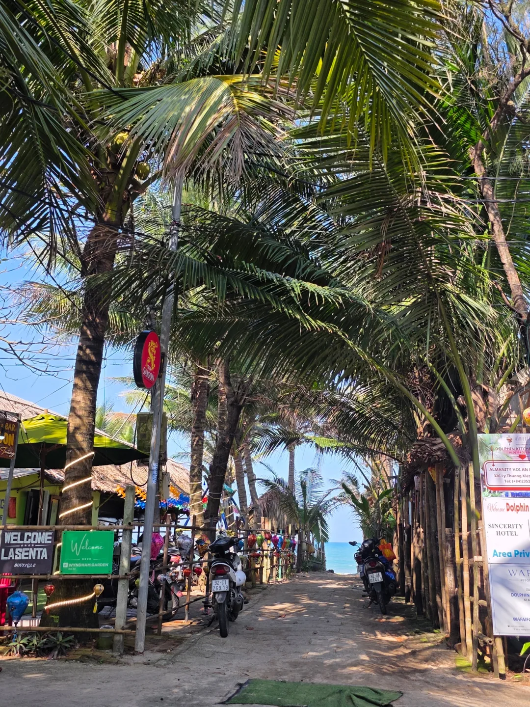 ✈️Lần này là cá heo~ 🐬