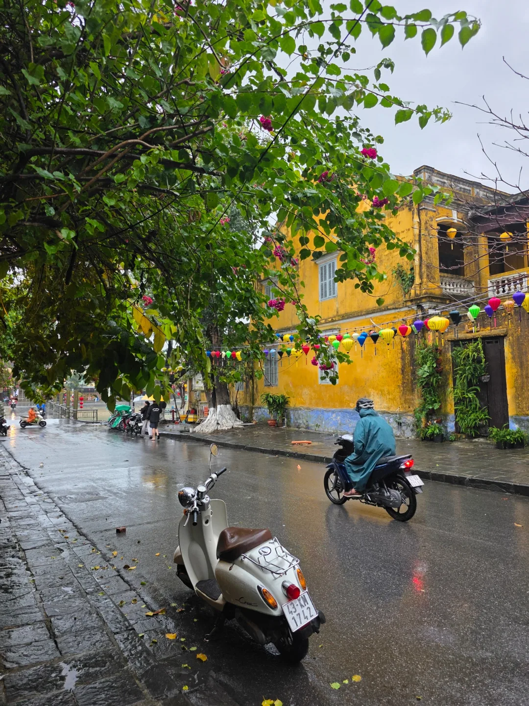 ✈️ Không thể nào cưỡng lại việc dạo bộ ở Hội An được~