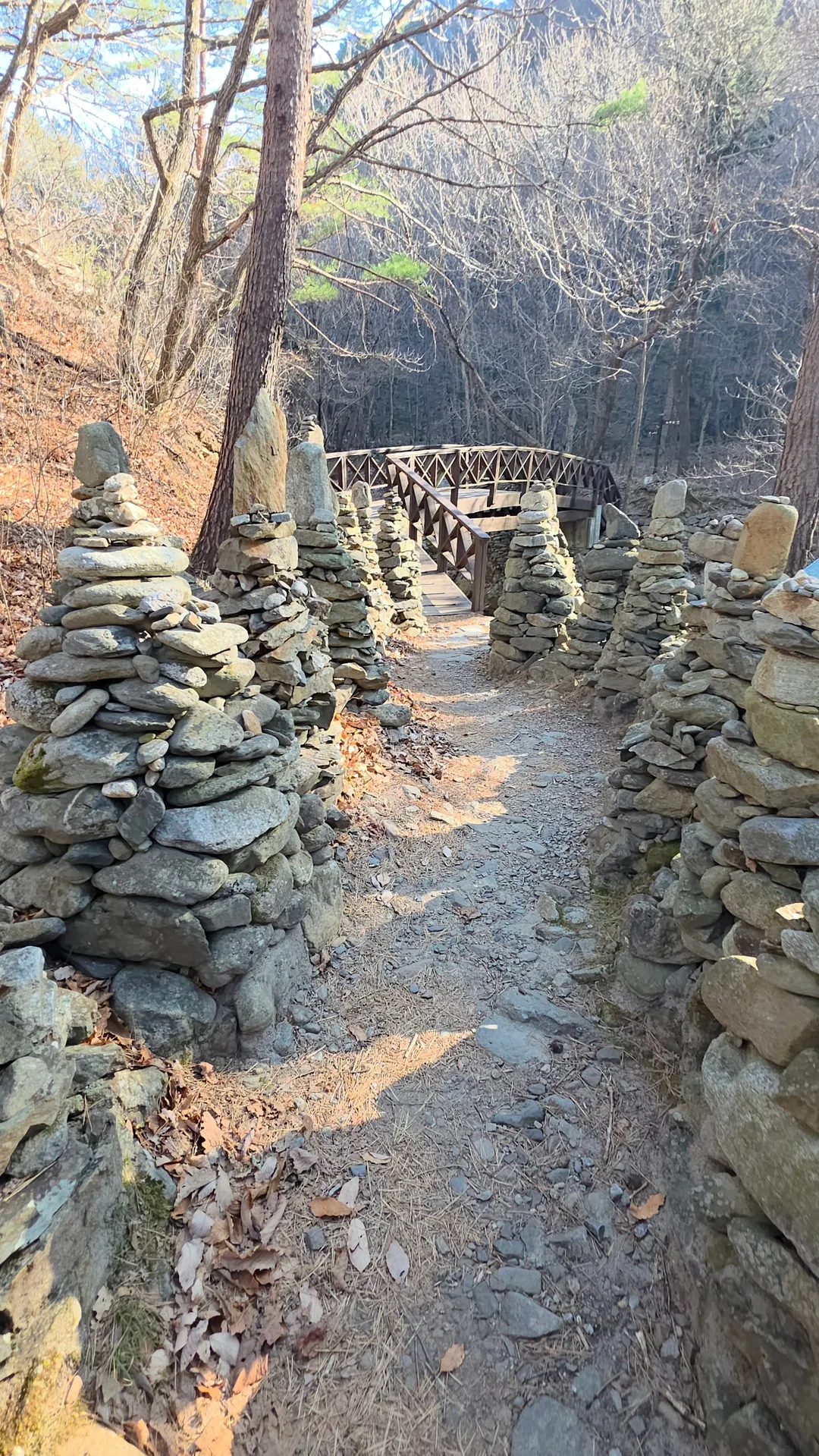 🇰🇷 Con đường tháp đá Mojeong ở núi Nochu, Gangneung!! Đừng chỉ đi biển thôi, nhất định phải ghé qua đây nữa nhé!