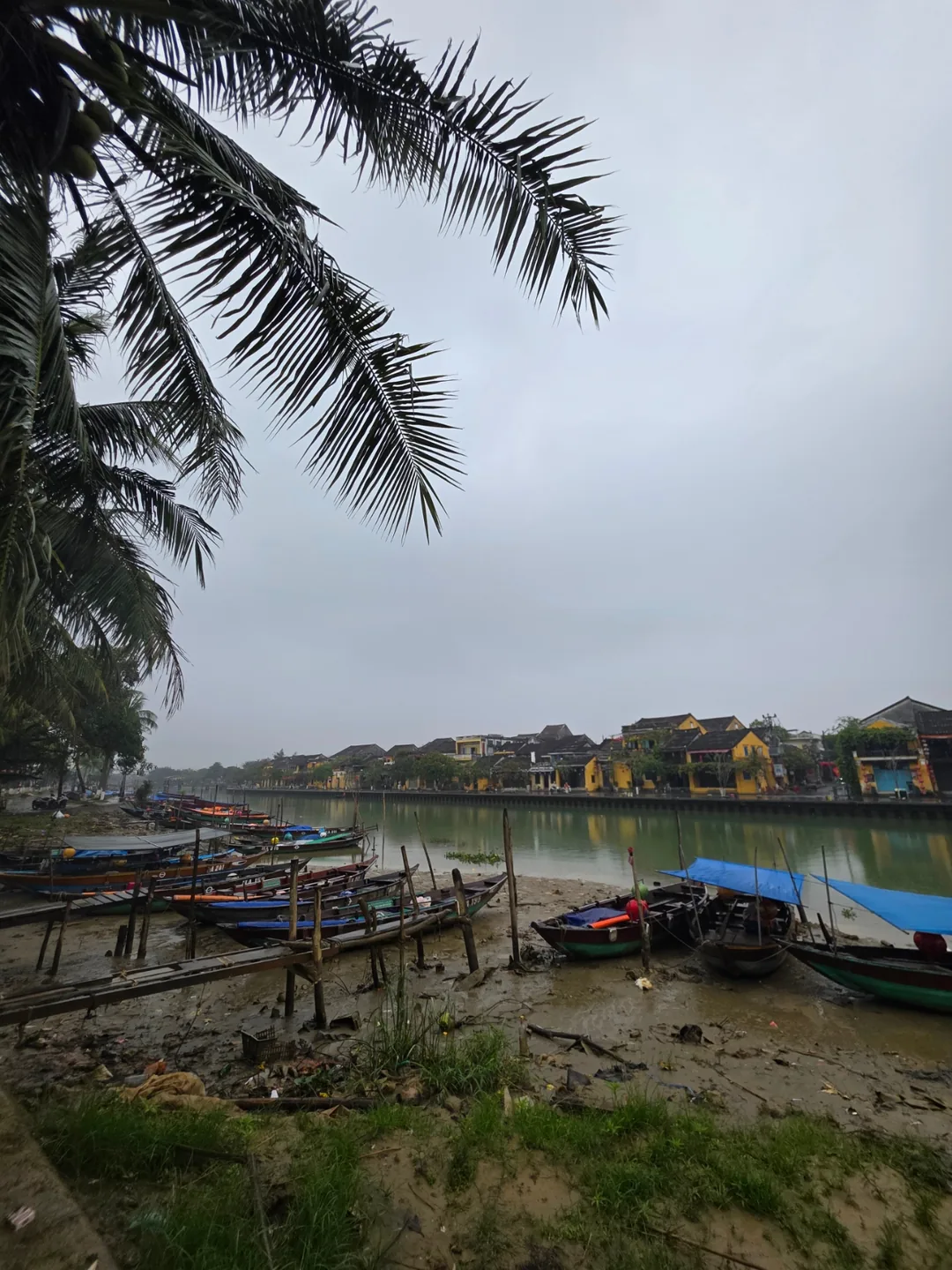 🇻🇳Chuyến du lịch Đà Nẵng của ba mẹ con_Khung cảnh buổi sáng mưa ở Hội An