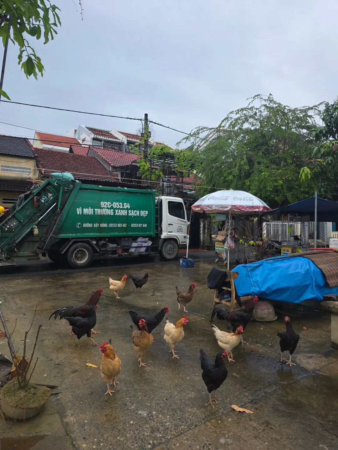 🇻🇳Chuyến du lịch Đà Nẵng của ba mẹ con_Khung cảnh buổi sáng mưa ở Hội An