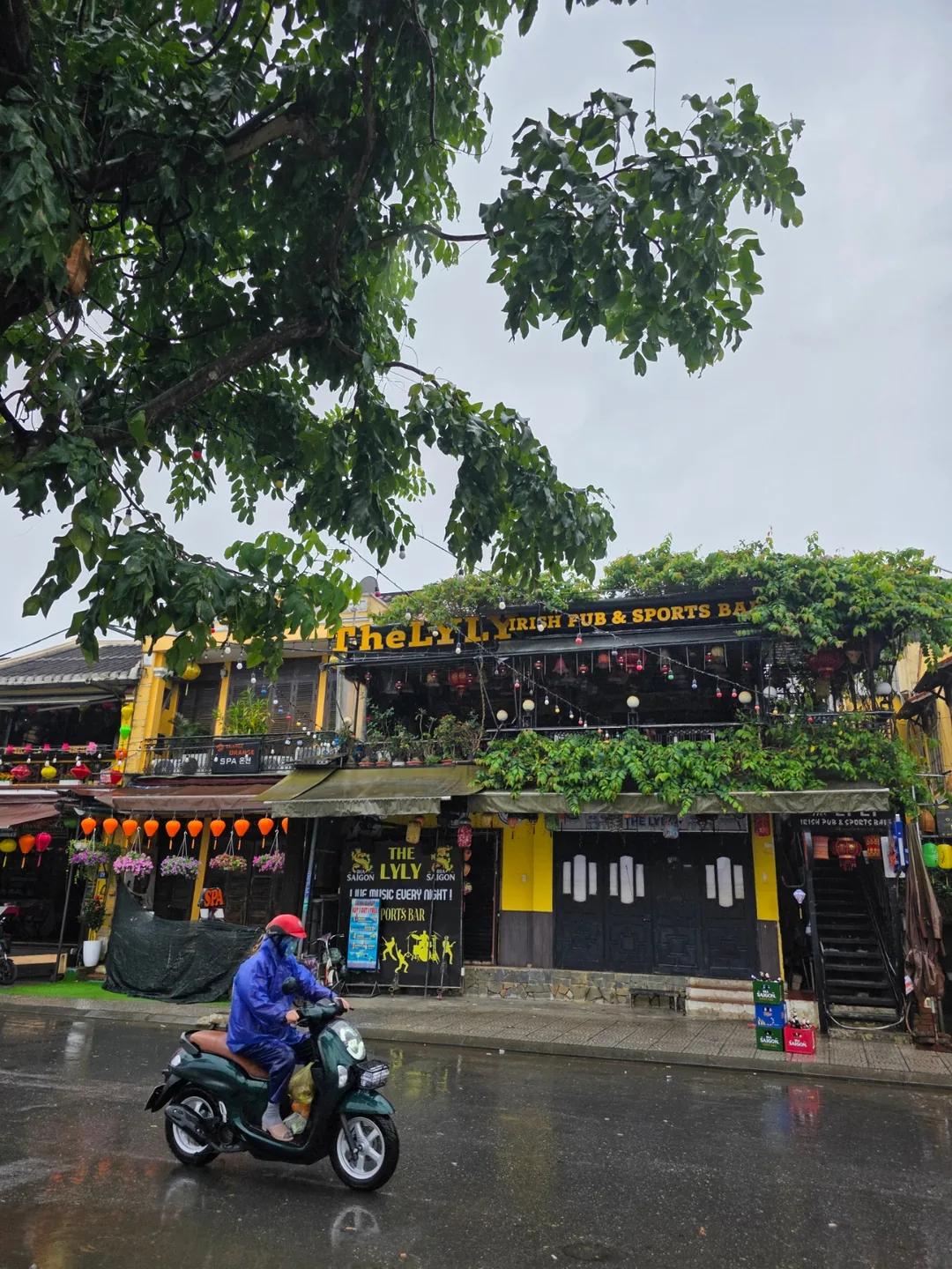 🇻🇳Chuyến du lịch Đà Nẵng của ba mẹ con_Khung cảnh buổi sáng mưa ở Hội An