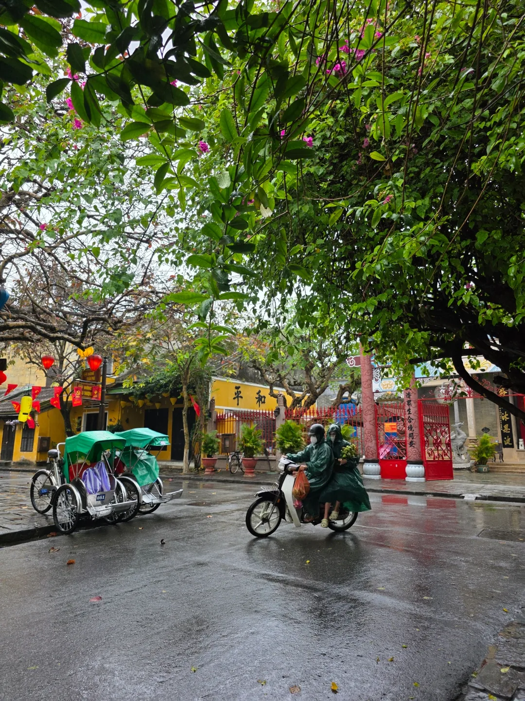 🇻🇳Chuyến du lịch Đà Nẵng của ba mẹ con_Khung cảnh buổi sáng mưa ở Hội An