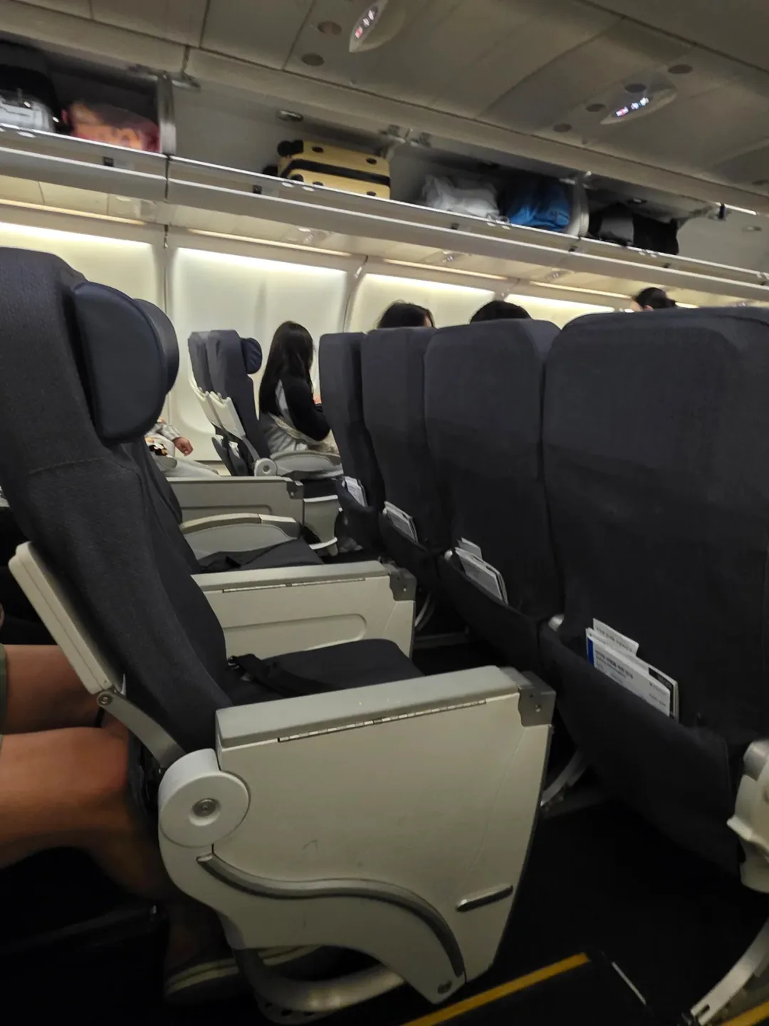 🇻🇳Chuyến du lịch Đà Nẵng của ba mẹ con_ Về nước) Bài đánh giá chuyến bay hãng Paranta Airlines (hạng phổ thông)