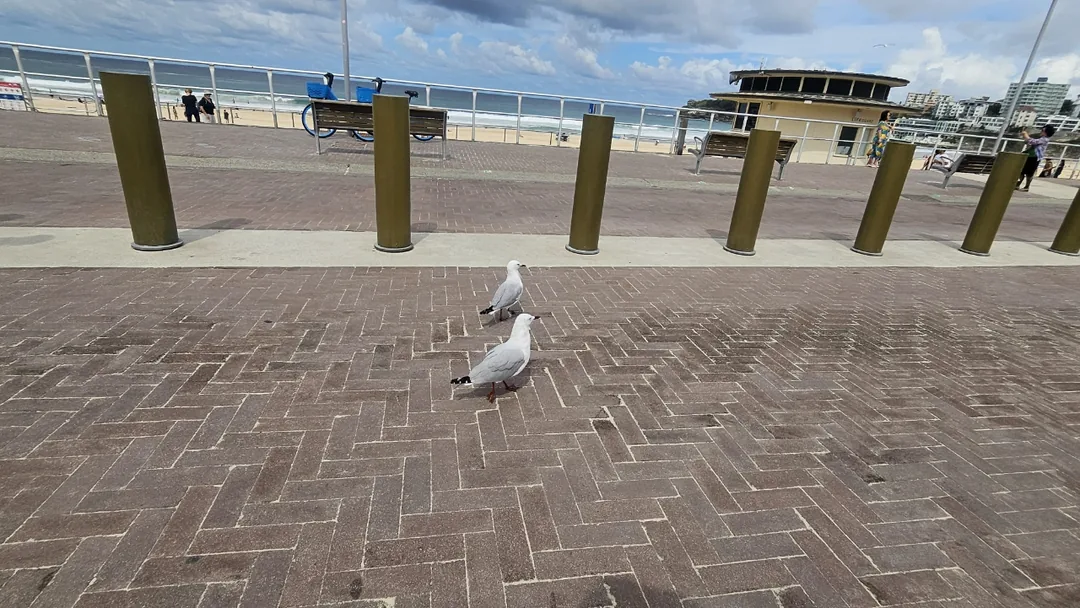 Bãi biển Bondi, Sydney