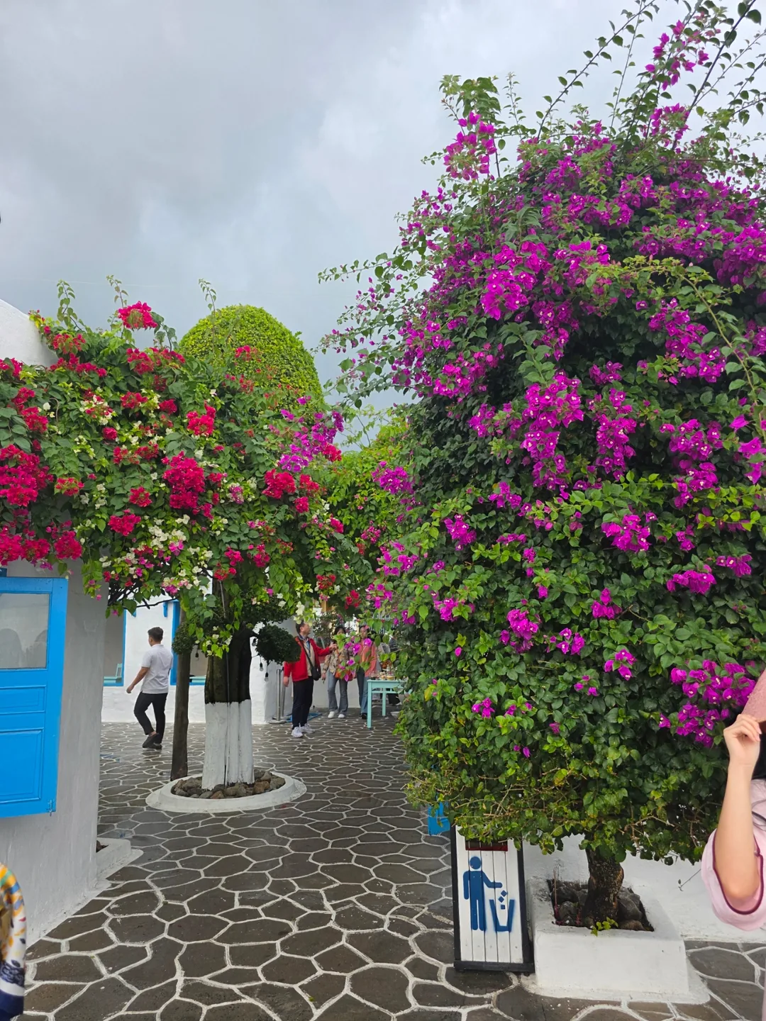 Chuyến du lịch Đà Nẵng của ba mẹ con 🇻🇳 (Liên kết địa phương) Cà phê Sơn Trà Marina