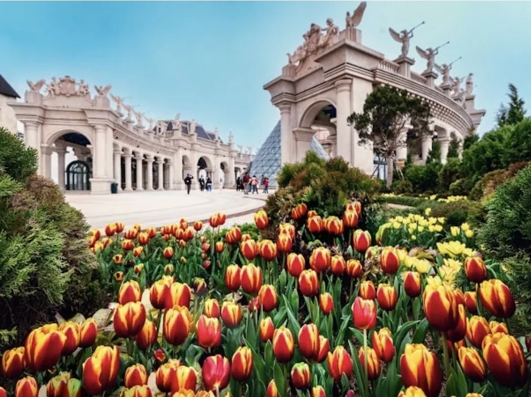 🌷(Thông tin) Lễ hội hoa tulip Bà Nà Hills với 1 triệu bông