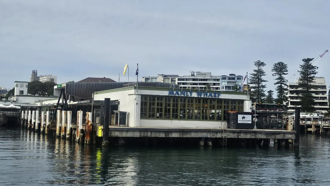 🇦🇺[Sydney/Manly] "Đây mới đúng là kỳ nghỉ!" Tận hưởng biển cả tươi mát khi đi phà