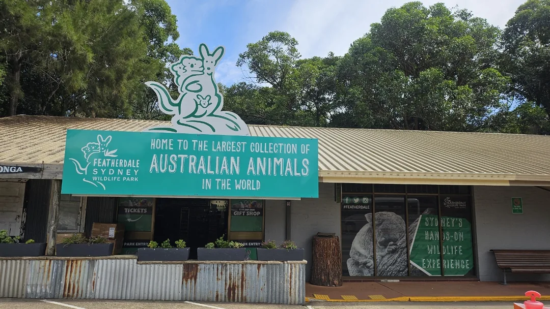 🇦🇺Tổng hợp những người bạn đáng yêu cực phẩm chỉ có thể gặp ở Úc!🐨🦘