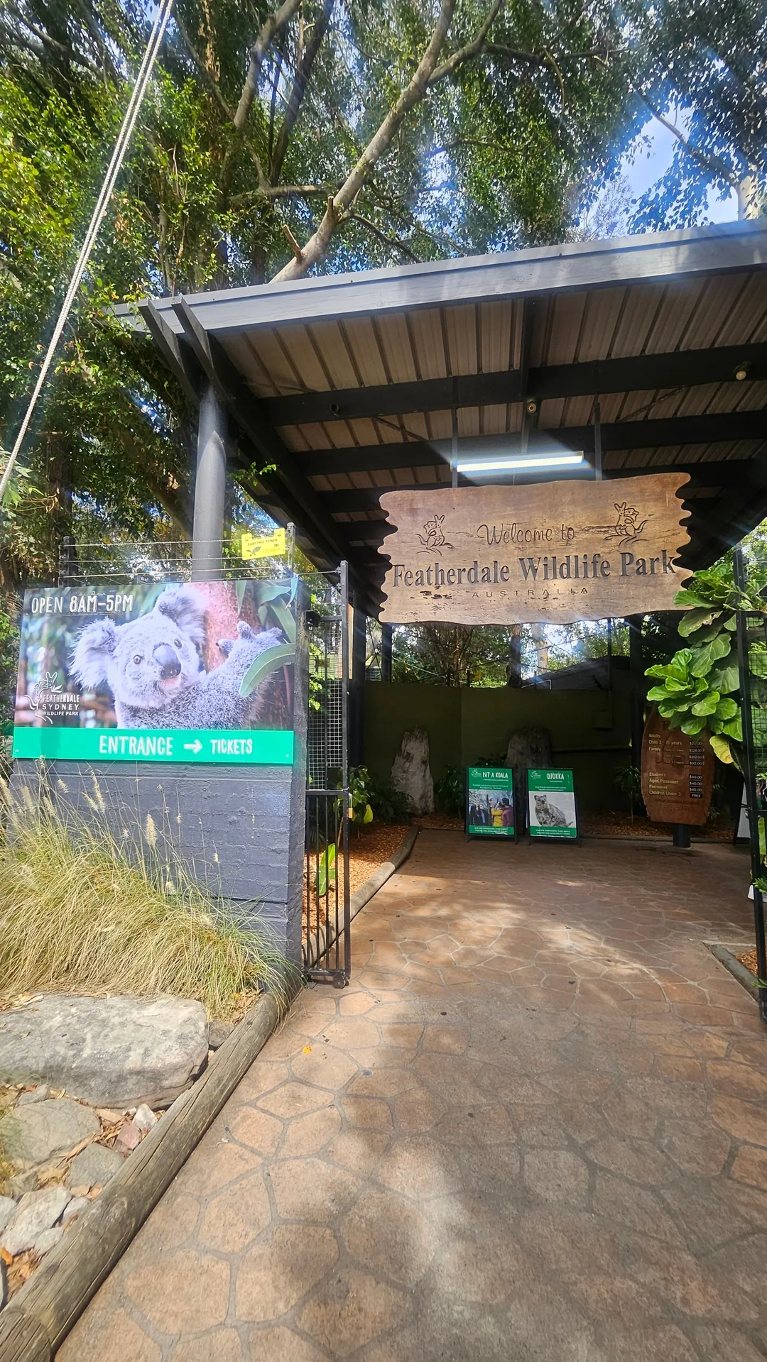 🇦🇺Tổng hợp những người bạn đáng yêu cực phẩm chỉ có thể gặp ở Úc!🐨🦘