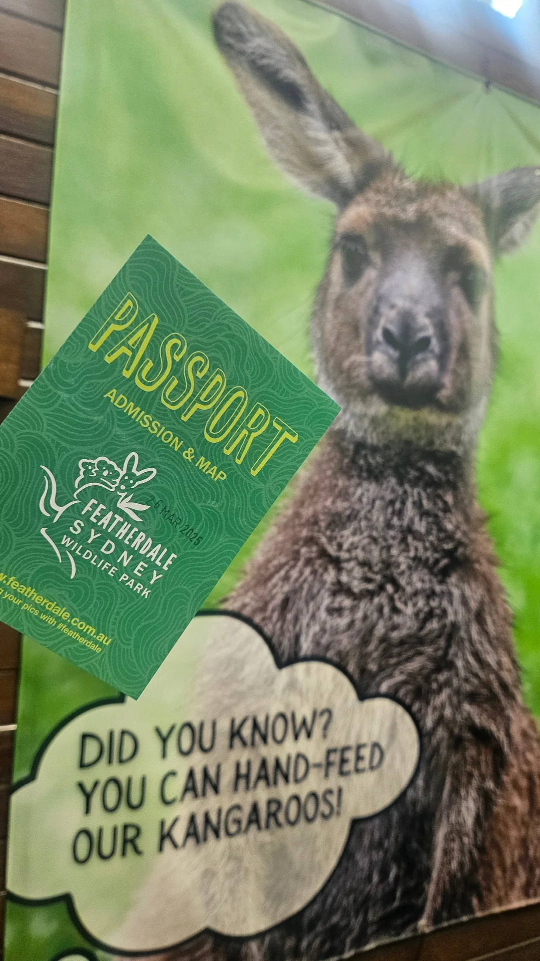 🇦🇺Tổng hợp những người bạn đáng yêu cực phẩm chỉ có thể gặp ở Úc!🐨🦘