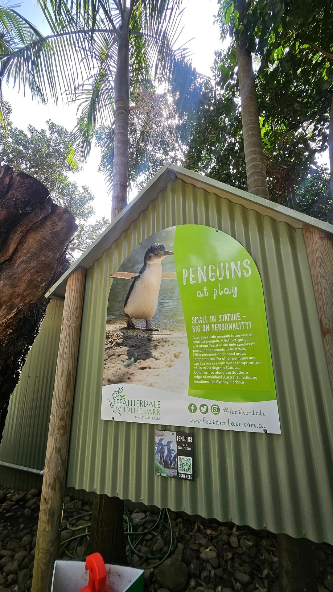 🇦🇺Tổng hợp những người bạn đáng yêu cực phẩm chỉ có thể gặp ở Úc!🐨🦘