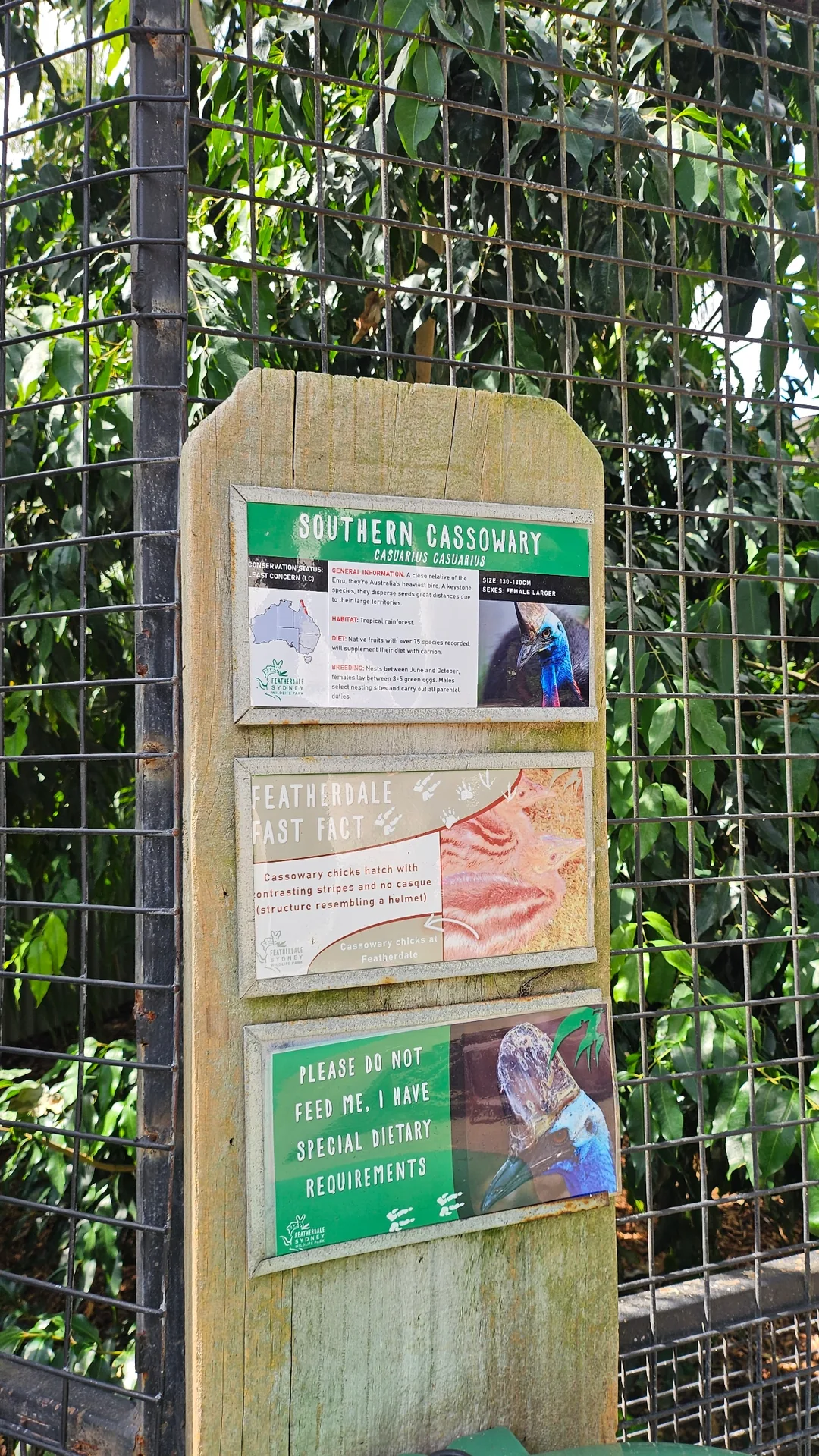 🇦🇺Tổng hợp những người bạn đáng yêu cực phẩm chỉ có thể gặp ở Úc!🐨🦘